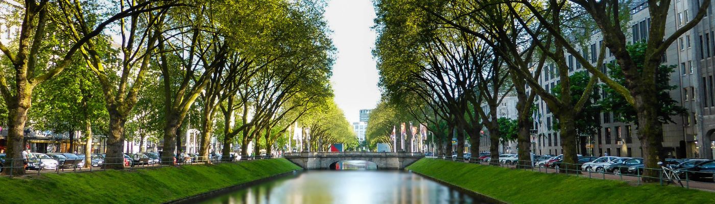 Auf dem Foto ist die Stadt Düsseldorf zu sehen. In der Mitte ist ein Fluss zu sehen, über den eine Brücke führt. Links und rechts des Flusses sind grüne Bäume zu sehen.